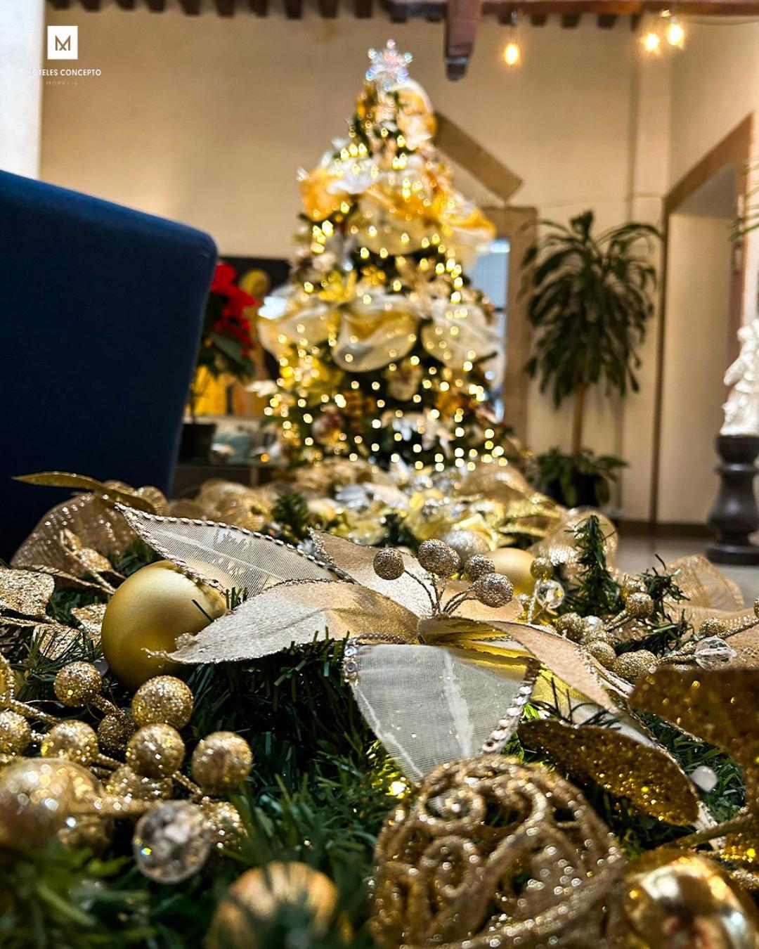 M Hoteles Concepto Морелія Екстер'єр фото
